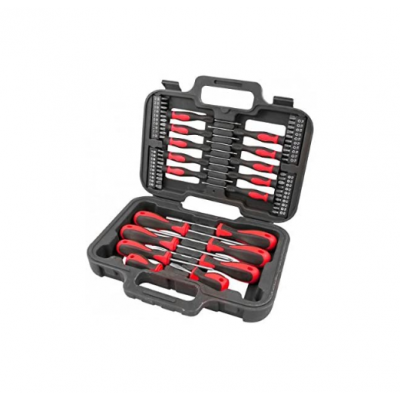 58 Piece Screwdriver and Bit Set in Storage Case